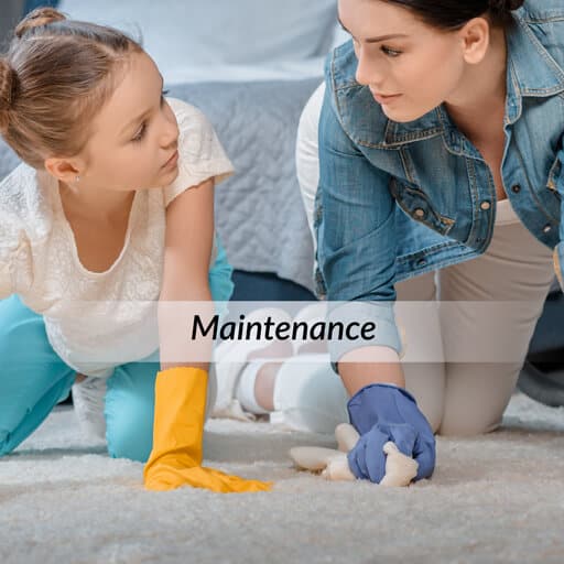 Maintenance Area Rug Vs Floor Mat