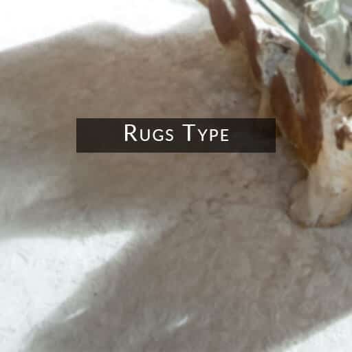 rugs type