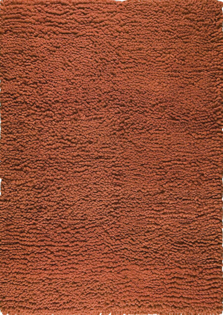 Berber Orange Area Rug