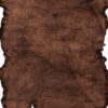 Jalwa-1 Dark Brown Area Rug