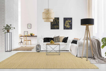 ladhak beige closeup woolen loop area rug carpets