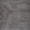 Ladhak Grey Area Rug