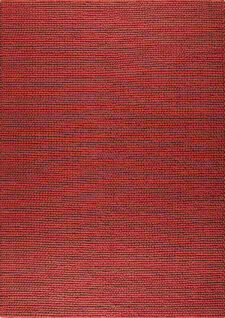 Ladhak Red Area Rug