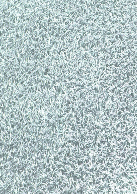 Palo Aqua - Image 2