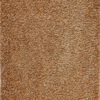 Beige Area rugs