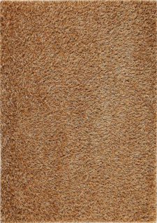 Beige Area rugs