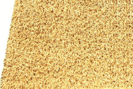Palo Gold - Image 3