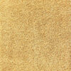 Palo Gold Rug Carpet