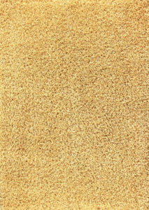 Palo Gold Rug Carpet