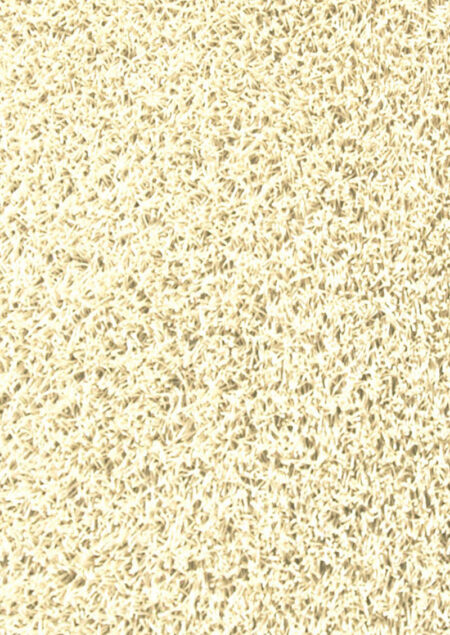Palo Vanilla - Image 2
