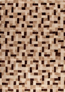 Beige Carpet