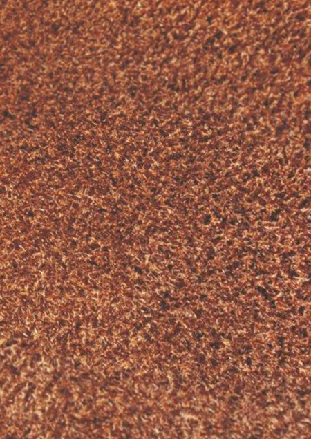 Twilight Brown - Image 2