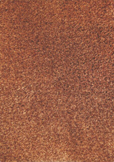 Twilight Brown Area Rug