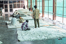 surface process surface-process