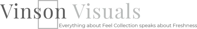 vision title vision
