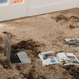 Ways to clean your Shag Rugs