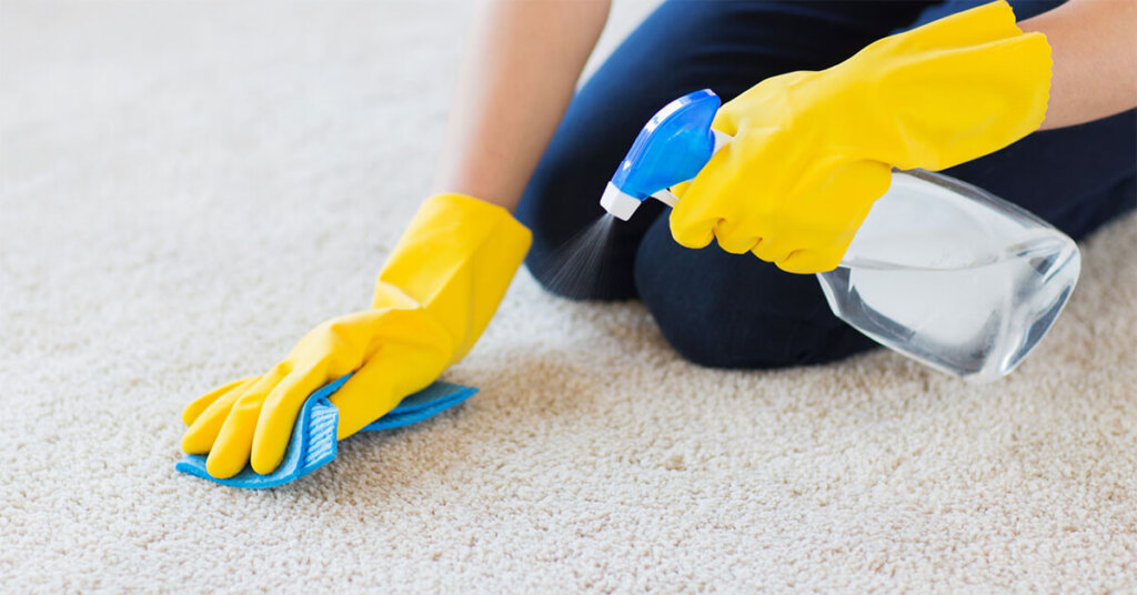 4.Spot clean 1 spot clean white area rugs