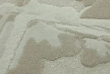 Orith _Feather_CLOSEUP